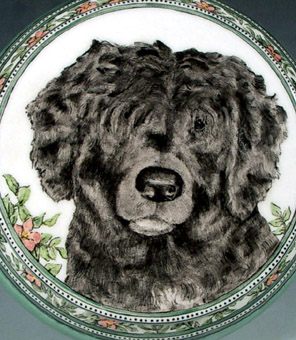 Holly