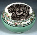 Harley Portuguese Water Dog