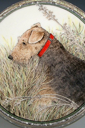 Jill, Airedale Terrier