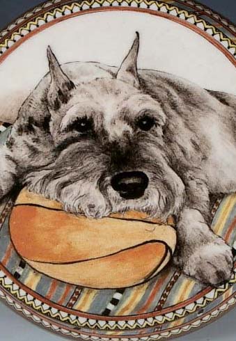 Jordie, Standard Schnauzer