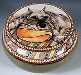 Jordie Standard Schnauzer