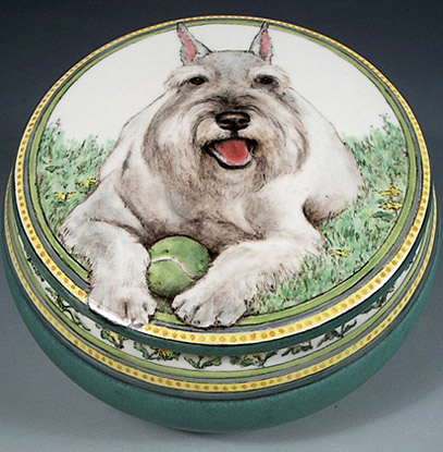 Jules, Standard Schnauzer