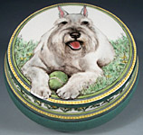Jules Standard Schnauzer