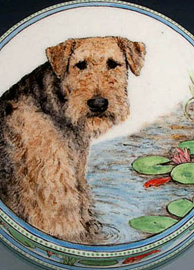 Kelsey Airedale