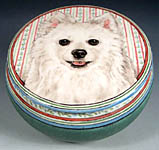 Lexi Japanese Spitz