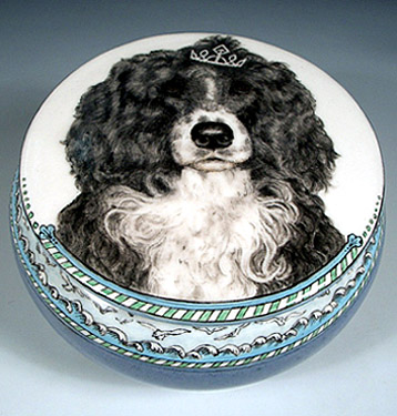 Odette, Portuguese water dog