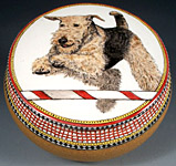 Odette, Portuguese Water Dog