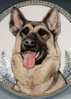 Sheba German Shepard