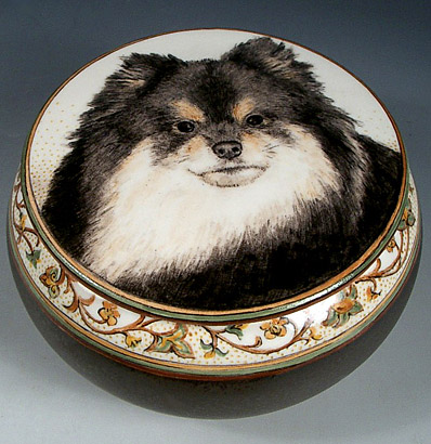 Teddy Pomeranian