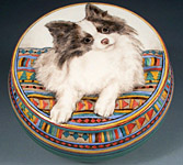 Willie Pomeranian